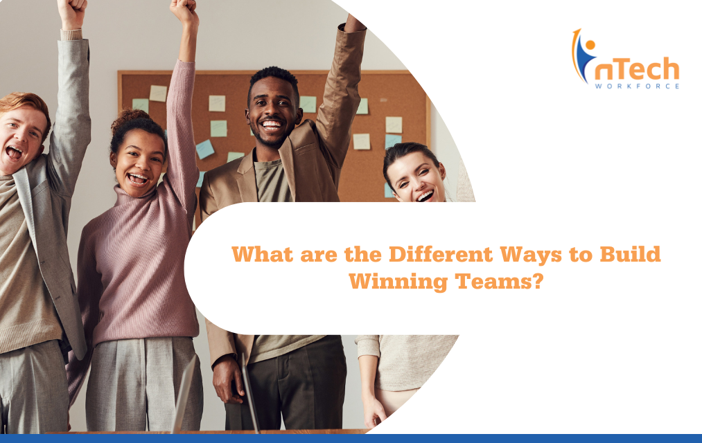 What Are the Different Ways to Build Winning Teams?